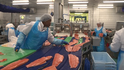 Menschen arbeiten in einer Fischfabrik in Bremerhaven.