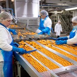 In einem Werk des Bremerhavener Tiefkühlkostherstellers Frosta überwachen Mitarbeiter die Produktion von veganen Fischstäbchen.