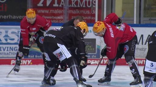 Zwei Spieler der Fischtown Pinguins stehen sich vor einem Bully auf dem Eis gegenüber.