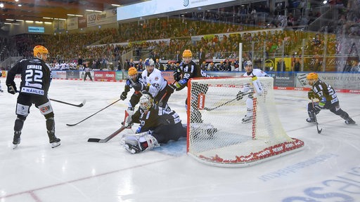 Die Spieler der Fischtown Pinguins und vom EHC München schauen dem übers Tor geflogenen Eishockey-Puck hinterher.