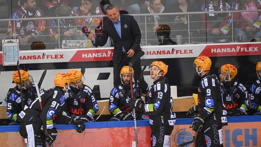 Pinguins-Trainer Thomas Popiesch gibt seinen Spielern auf der Bak lautstark Anweisungen.