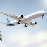 Ein Flugzeug fliegt über Palmen hinweg