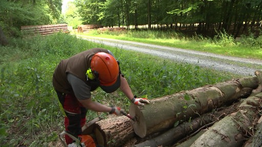 Ein Mann steht vor gefällten Bäumen und bearbeitet die Holzstämme.