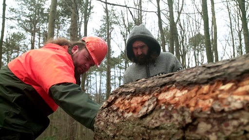 Freddy und der Forsterarbeiter gucken die Jahresringe eines abgeholzten Baumes an. 