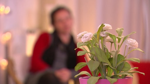 Eine zensierte Frau sitzt auf einem Stuhl und wird interviewt. Rechts im Bild eine Blume.