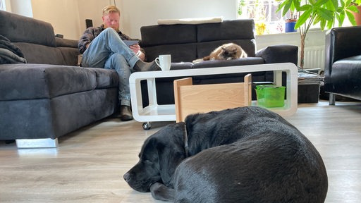 Eine schwarze Labradorhündin hat sich im Wohnzimmer auf dem Boden zusammengerollt. Hinter ihr sitzt ein Mann auf einem Sofa und ließt.