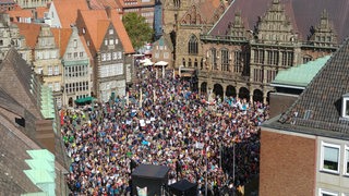 Teilnehmer der Fridays-for-Future-Demo in Bremen.