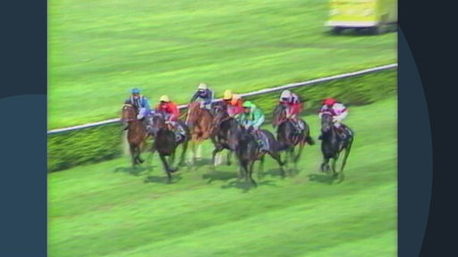 Mehrere Reiter bei einem Galopprennen in der Vahr im Jahr 1985.
