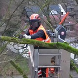 Der Mitarbeiter des Umweltbetrieb Bremen sägt einen Ast. 