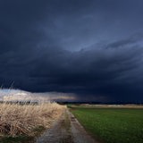 Gewitterwolken ziehen über ein Feld mit Schilf, welches noch von der Sonne beschienen wird.