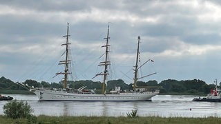 Die "Gorch Fock" in Oberhammelwarden zwischen Brake und Elsfleth