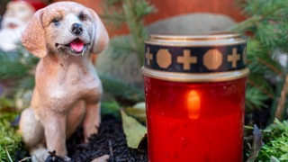 Eine brennende Grabkerze steht auf einem Haustiergrab neben einem künstlichen Hund.