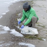 Ein Mann in einer grünen Greenpeace-Jacke schaufelt an einem Strand Meeresschaum in einen Beutel