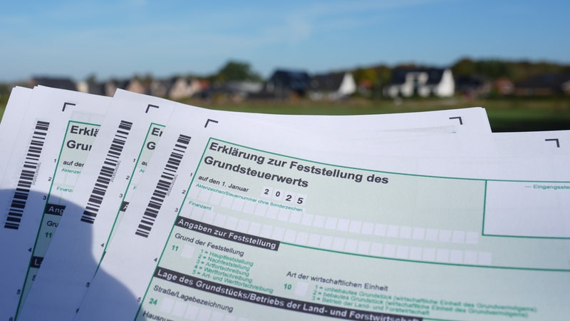 Ein Erklärung zur Feststellung des Grundsteuerwerts für das Jahr 2025 wird vor eine Wohnsiedlung hochgehalten.