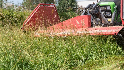 Detailaufnahme: Frontmähwerk eines Traktors beim Mähen eines Grünlands