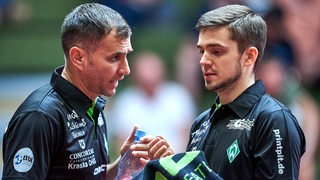 Werders Tischtennis-Trainer Cristian Tamas bei einer Auszeit im intensiven Gespräch mit seinem Spieler Kirill Gerassimenko.
