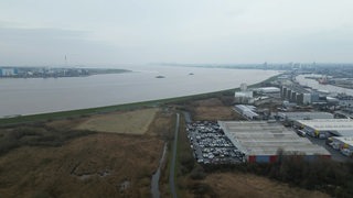 Die Hafenanlage Luneplate in Bremerhaven aus der Vogelperspektive.