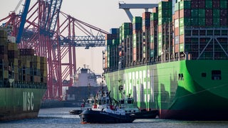 Das Containerschiff "Ever Gifted" kommt im Hafen von Hamburg an