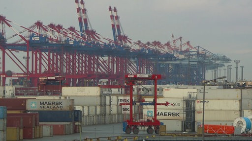 Container stehen im Hafen.