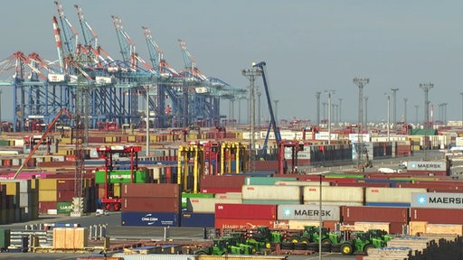 Viele Container stehen vor großen Kränen am Hafen in Bremerhaven.