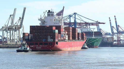 Ein Containerschiff fährt in den Hamburger Hafen ein.