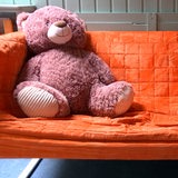 Ein Kuscheltier in der Notunterkunft im Hermann-Hildebrant-Haus.