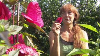 Die Hibiskuszüchterin Beatrice Bartels steht zwischen Hibiskuspflanzen und hält eine in ihrer Hand.