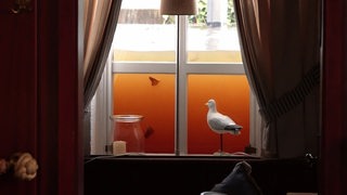 Das Hochwasser deckt die hälfte des Fensters zu, es ist orange