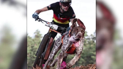 Ein Fahrradfahrer wird von seinem Hund gezogen. Sie betreiben Zughundesport auf einem Sportgelände.
