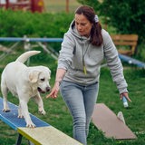 Eine Frau führt einen Hund über ein Brett.