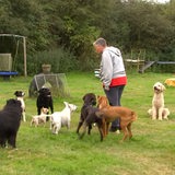 Eine Frau steht zwischen neun Hunden auf einer Wiese.