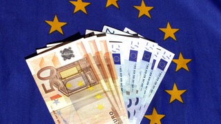 Ein Bündel Geldscheine liegt auf dem EU-Logo