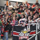 Fans der Fischtown Pinguins stehen jubelnd auf einer Tribüne.