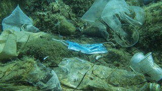 Auf dem Meeresboden liegen Plastikflaschen, Plastikbecher, Tüten und eine medizinische Maske.