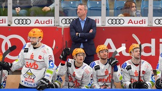 Pinguins-Trainer Thomas Popiesch steht mit verschränkten Armen hinter seinen Spielern an der Bande.
