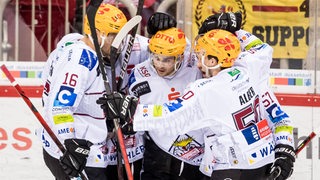 Eishockey-Spieler der Fischtown Pinguins bejubeln einen Treffer.