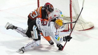 Pinguins-Spieler Anders Krogsgaard stürzt im Zweikampf mit einem Wolfsburger Gegenspieler aufs Eis.