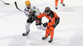 Pinguins-Spieler Jan Urbas und Dominik Bittner von den Wolfsburg Grizzlies kämpfen um den Puck.