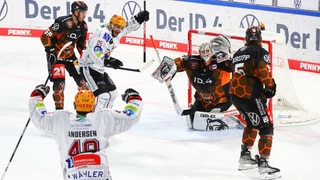 Spieler der Fischtown Pinguins bejubeln einen Treffer gegen die Grizzlys Wolfsburg.