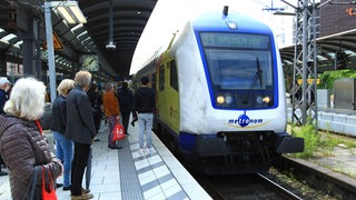 Ein Regionalzug des Metronom fährt in den Hauptbahnhof Hamburg ein. 