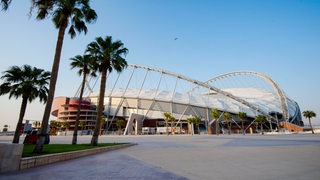 Zu sehen sind Palmen vor einem Stadion in Doha.