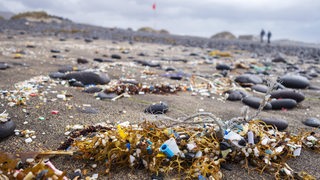 Mikroplastik wurde zwischen Seetang an einem Sandstrand angespült.