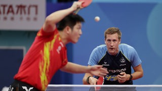 Tischtennis-Profi Mattias Falck erwartet konzentriert den Aufschlag des Weltranglistenersten Fan Zhendong.