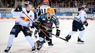 Die Spieler der Fischtown Pinguins und vom EHC Red Bull München blicken dem Puck nach.