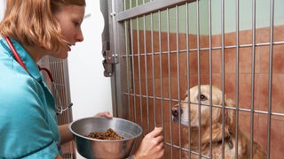 Eine Frau kniet vor einem Käfig, in dem ein Hund sitzt.