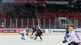 Zum ersten Mal haben die Fischtown Pinguins unter freiem Himmel gespielt beim Spiel gegen die Kölner Haie im Stadion des 1. FC Köln.