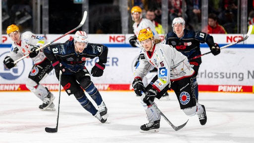 Die Spieler der Fischtown Pinguins und Nürnberg Ice Tigers hechten dem Puck hinterher.