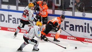 Eishockey-Spieler der Fischtown Pinguins und Grizzlys Wolfsburg kämpfen um den Puck.