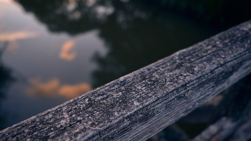 Blick auf eine Holzbrücke, die übers Wasser führt.