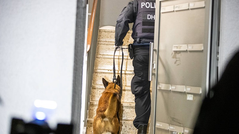 Ein Polizist führt einen Hund eine Treppe hinauf